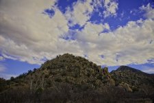 01-12-2019-cr_7508845_HDR-ON1.jpg