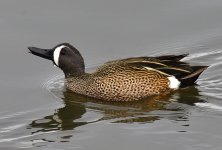 _ROY0383_00001.jpg
