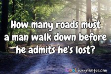 lost.jpg