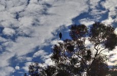 _ROY0880_00001.jpg