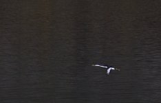 _ROY0975_00001.jpg