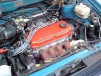 2009-01-10 Sprout Red Valve Cover.jpg