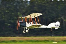 D50_3417_cr.jpg