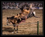 rodeo.jpg