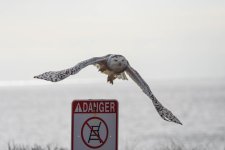 DSC_2802.jpg