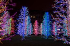 Winter light Show 3.jpg