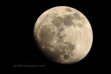 01-18-19-cr__D7K0444.jpg