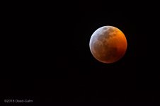 blood moon N 500_8115.jpg