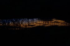 _ROY2032_00001.jpg
