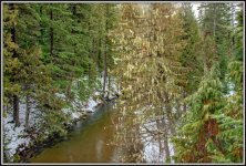 750_7037-HDR-Edit.jpg