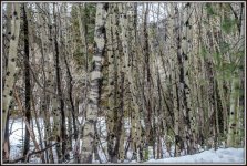 750_7137-HDR.jpg