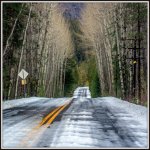 DSC_2542-HDR.jpg