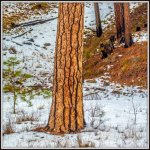DSC_2572-HDR.jpg