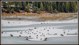 DSC_4164-HDR-Edit.jpg