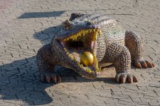 crocky-1.jpg