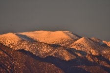 _ROY2306_00001.jpg