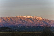 _ROY2305_00001.jpg