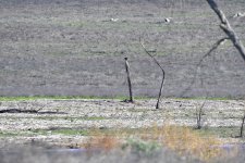 _ROY2256_00001.jpg