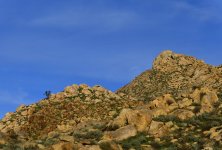 _ROY2275_00001.jpg