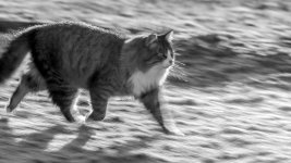 DSC_4410.jpg