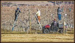 DSC_4462-Edit.jpg