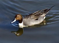 _ROY2513_00001.jpg