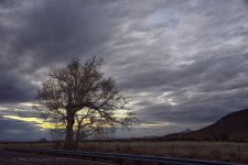 01-30-19-cr__7508968.jpg