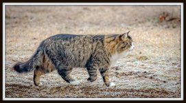 DSC_4564-Edit.jpg