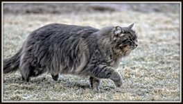 DSC_4556-Edit.jpg