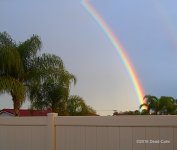 rainbow N 500_8148.jpg