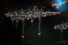DSC_6809.jpg