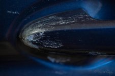 DSC_6818.jpg