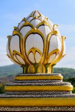 lotus-bud.jpg