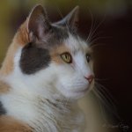 DSC_6844.jpg