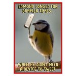 tweet.jpg