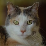DSC_6863.jpg