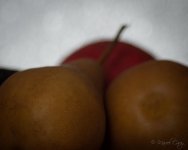 D72_6006.jpg