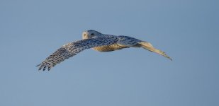 DSC_3568.jpg