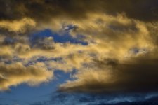 _ROY3173_00001.jpg