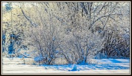DSC_5062-Edit.jpg