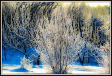 DSC_5058-Edit.jpg