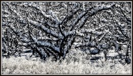 DSC_5049-Edit.jpg