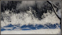 DSC_5045-Edit.jpg