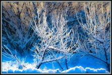 DSC_5039.jpg