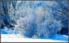DSC_5038-Edit.jpg