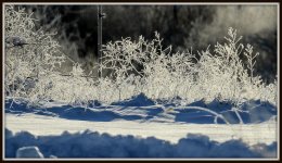 DSC_5015.jpg
