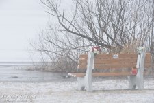 _DSC1796 low res.jpg