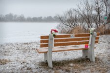 _DSC8979 low res.jpg