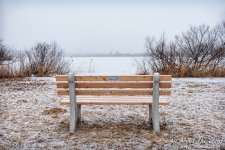 _DSC8982 low res.jpg