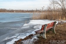 _DSC9008 low res.jpg